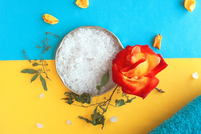 Dravtraxeloria decor